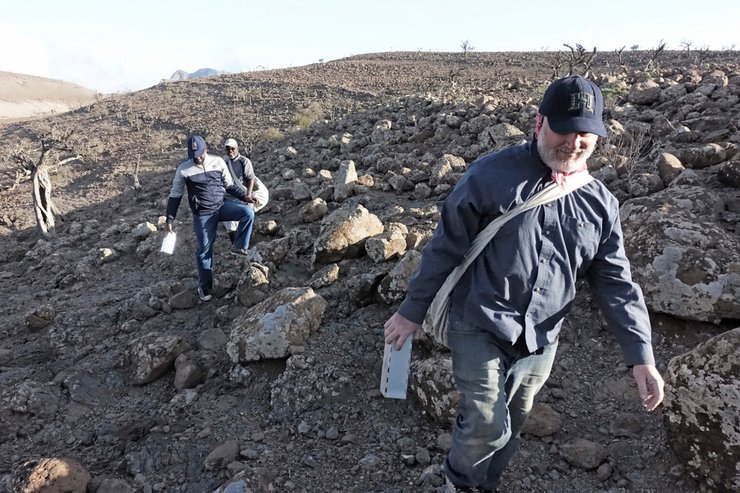 слоновая землеройка