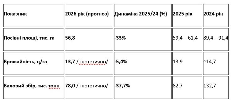 У 2026 році валове виробництво гречки може бути приблизно на рівні 78 тис. тонн