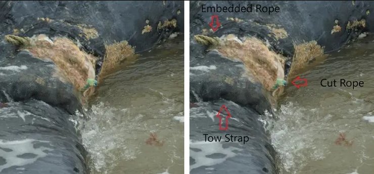 кит смерть веревка