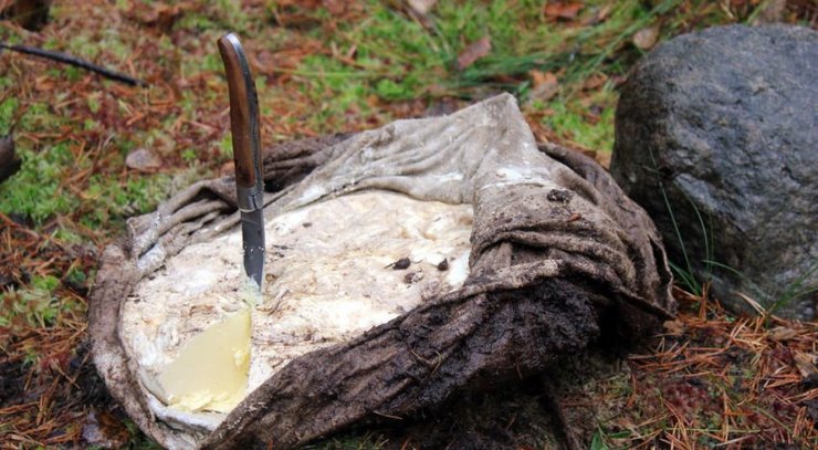 болотяне масло, ніж, камінь, природа, фото