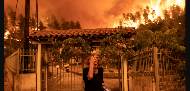 лесные пожары, остров эвия, пожары в греции