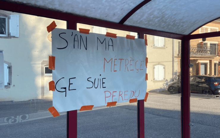 Во Франции овцы будут учиться с детьми, овцы, животные, школа, учебное заведение, протест родителей, мэр города