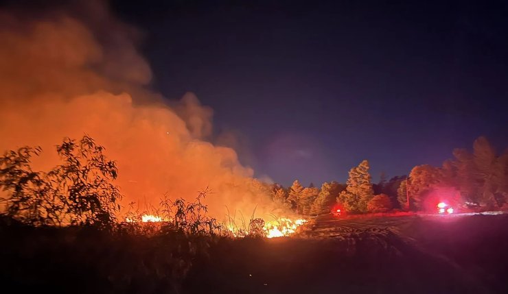 лесной пожар