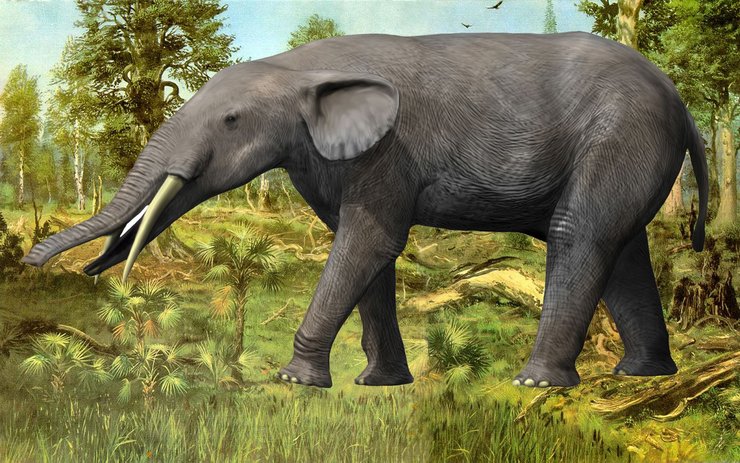 фото, мастодонт