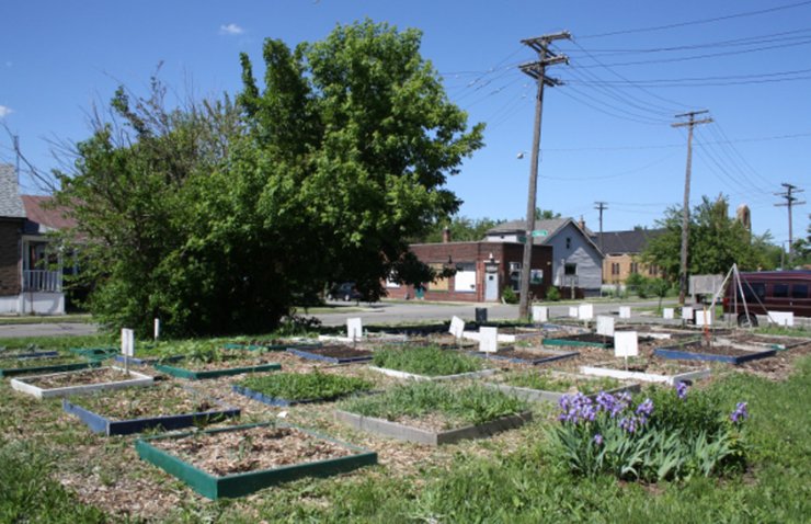Пустующие городские участки и заброшенные дома в Детройте, отражающие упадок промышленного центра США