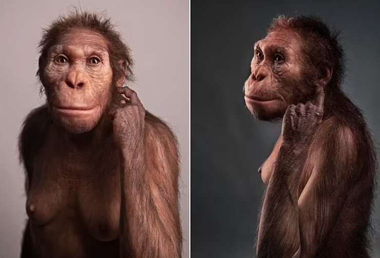 гоминины, древний вид, люди
