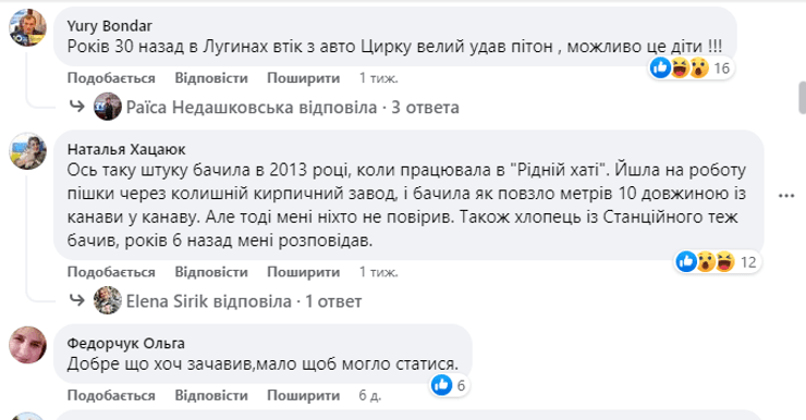 змея лугины, змея житомирская область, гремучая гадюка, житомир гремучая гадюка