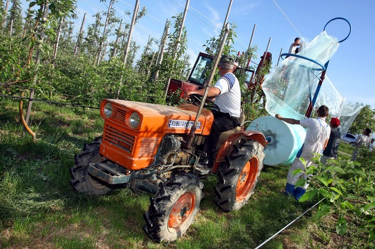 Микрогрант на развитие садоводства предоставляется тем, кто имеет собственную землю или землю в пользовании минимум на 25 лет