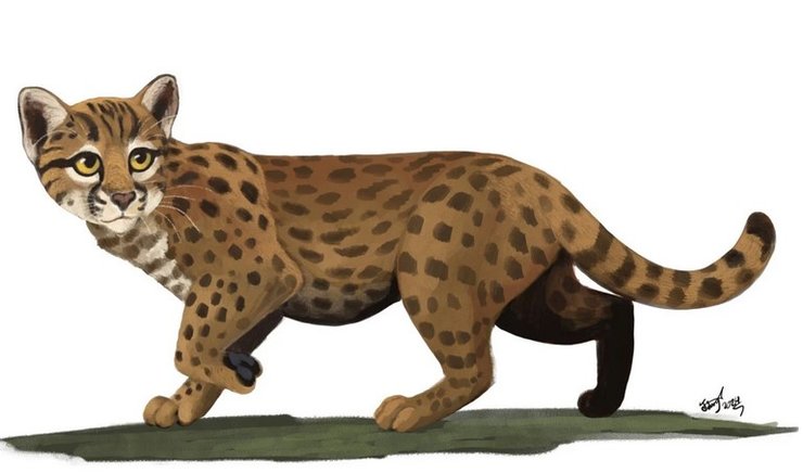 найменша кішка у світі