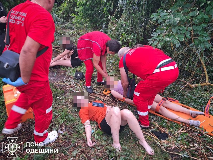 одесская область упало дерево