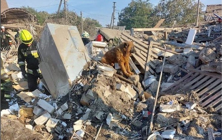 пес крим, дніпро, обстріл