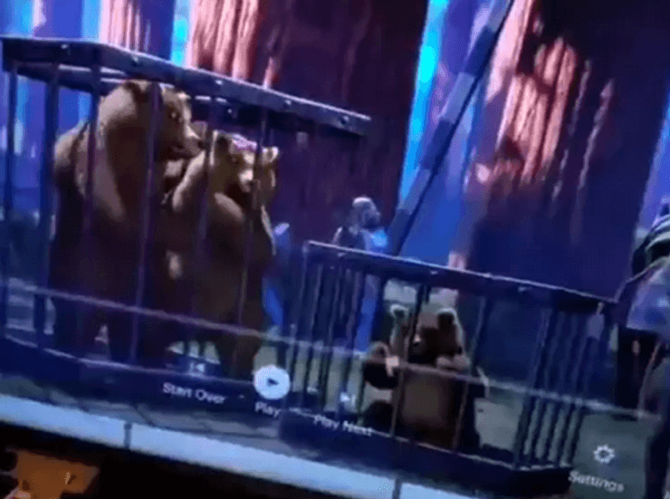 Многие люди наверняка не замечали мрачную сцену из культового мультфильма "Шрек"