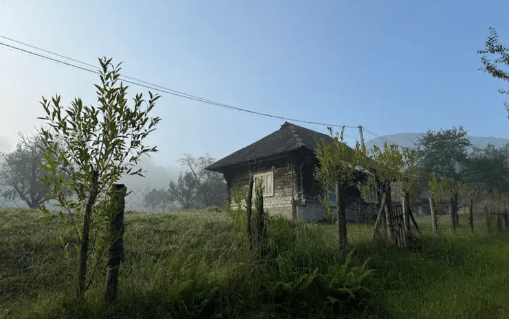 Хата в Карпатах