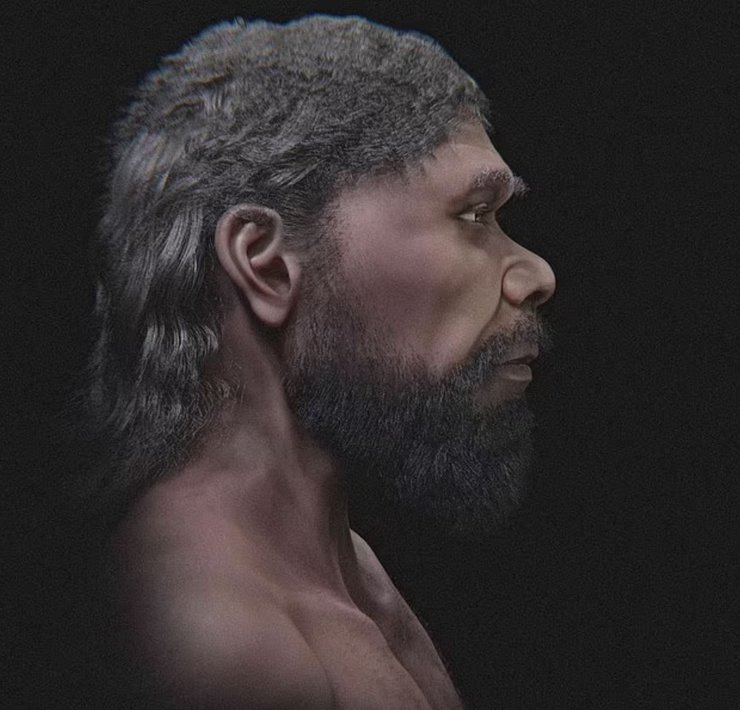 перша людина, реконструкція