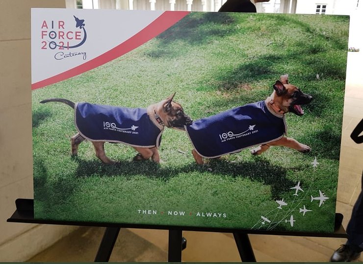 ВВС Австралии, курточки для корги королевы