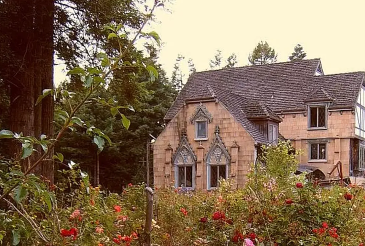 Недостроенный особняк, жилье, продажа недвижимости, дом, курьезы, постройка, Брюс Ремингтон из США, фото