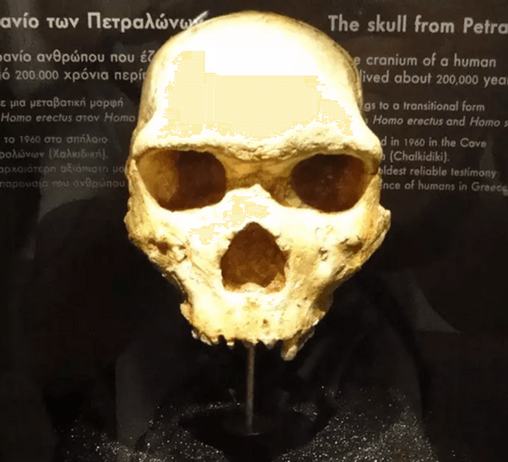 Археологи приблизились к разгадке странного черепа