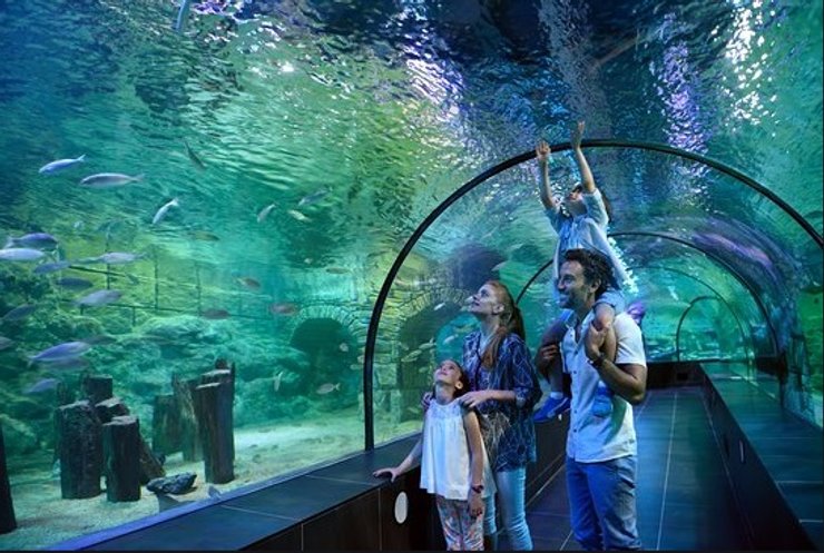 ViaSea, Стамбул, Турция, фото, куда поехать на новый год