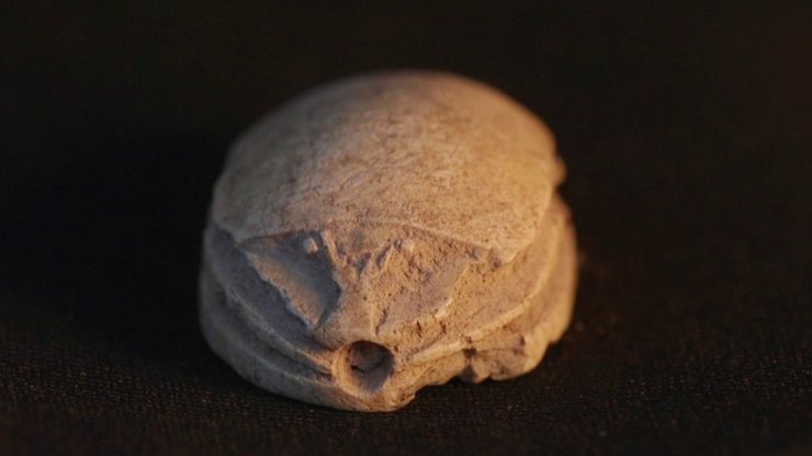 Древний амулет, скарабей, печать, Израиль, археологическая находка, археология, история мира, Тель-Азека, камень, находка, история, новости мира, новости науки