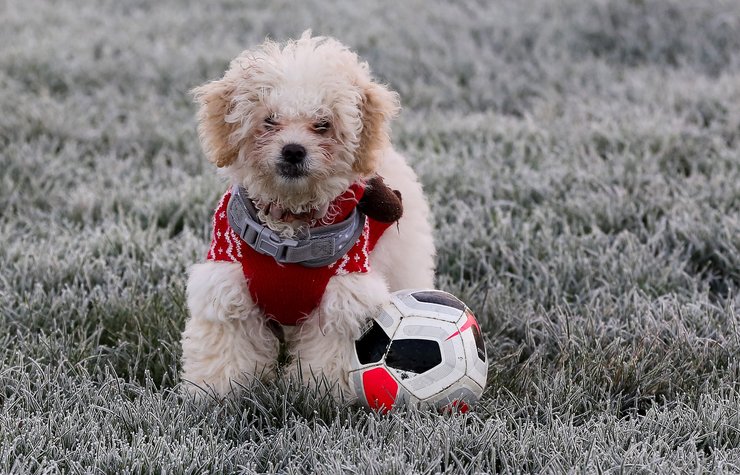 стартапстартап, незвичайні винаходи, винахідник, найдивовижніші винаходи