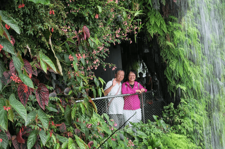 Літня пара біля огорожі в оточенні зелені та квітів біля водоспаду