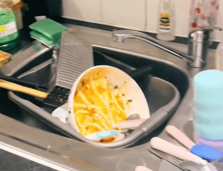 Женщину раскритиковали за немытую посуду