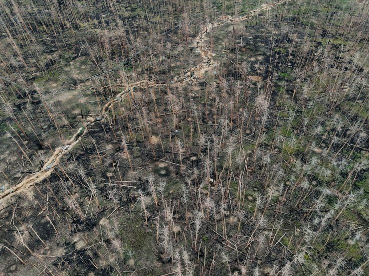 бои в Серебрянском лесу, ВСУ рассказали о боях в Серебрянском лесу, детали сложных боев в Серебрянском лесу, украинская пехота о боях в Серебрянском лесу, Серебрянский лес