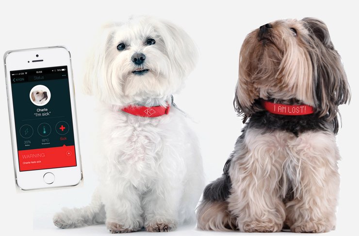 собачий смарт-нашийник, гаджети для тварин