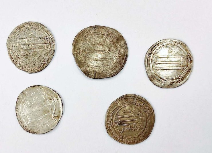 Срібні монети знашли у Трусо