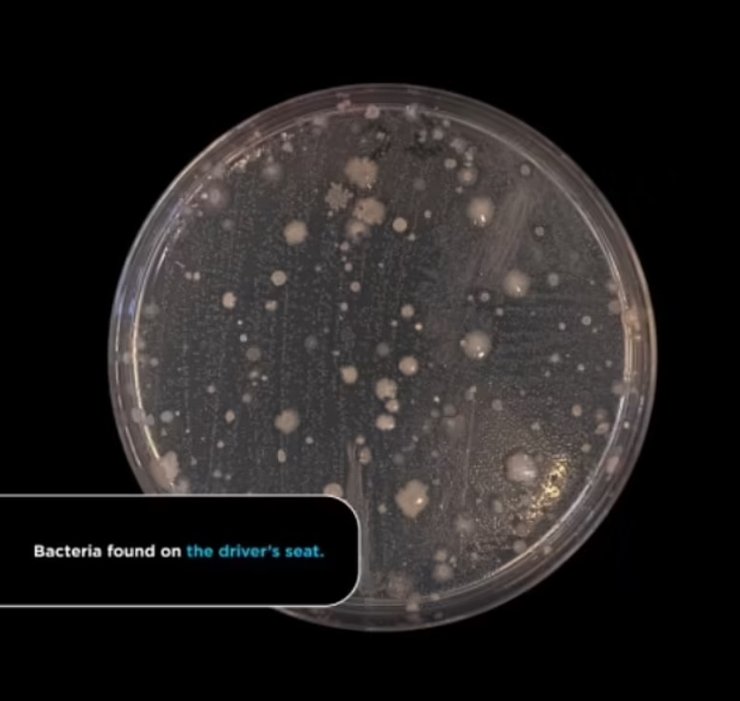 бактерии, автомобиль, сиденье, водитель