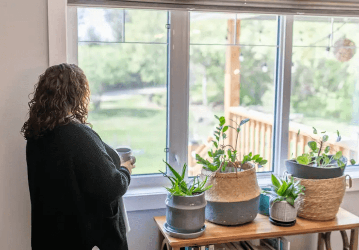 Жінка переїхала на ферму і знайшла там відчуття спільноти