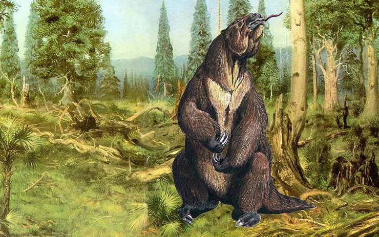 фото, гигантский ленивец