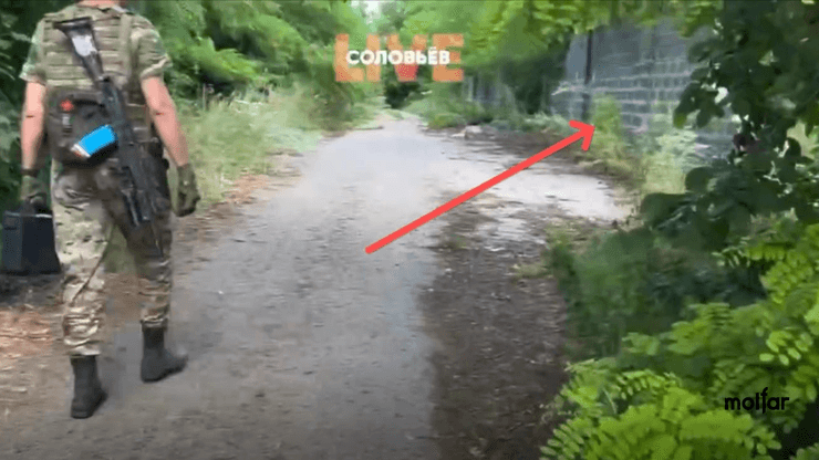 Скриншот відео, на якому зображено лісосмугу