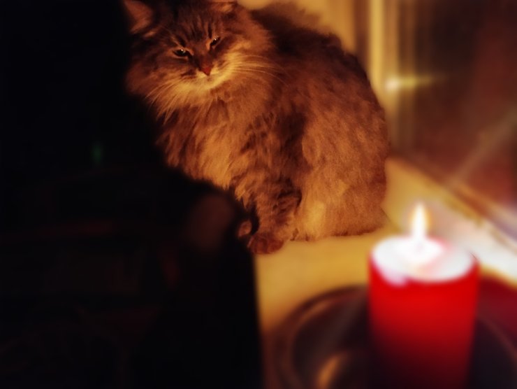 блэкаут, Украина, кот