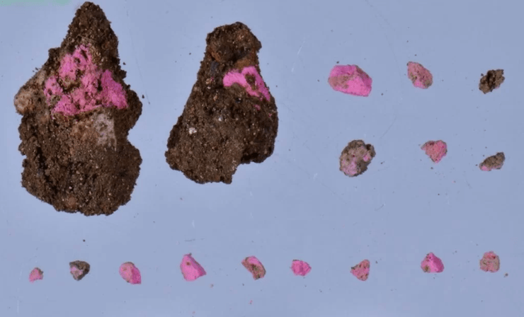 Древнеримский макияж, археологические находки, средства для макияжа, магазин косметики и ювелирных изделий, исторические артефакты, раскопки, артефакты римского города, античная косметика, торговля ювелирными изделиями, археология