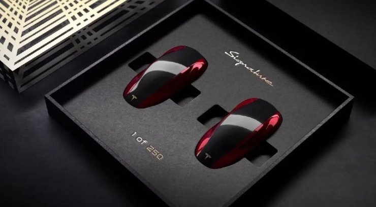 брелок Тесла