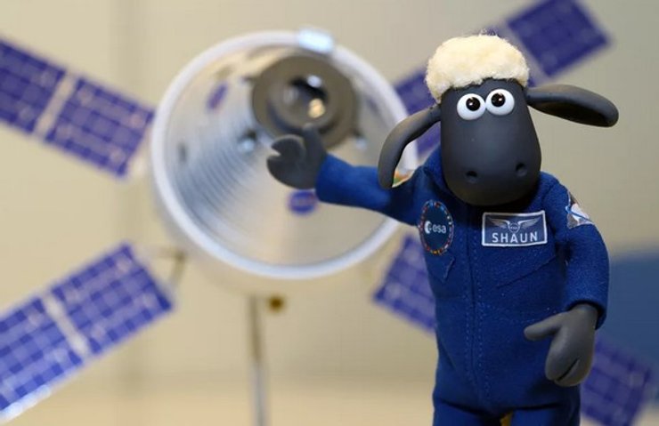 Баранчик Шон