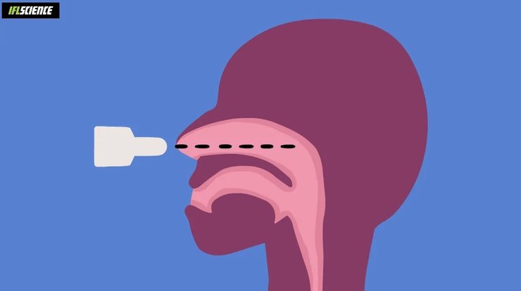 закапывать нос, капли в нос