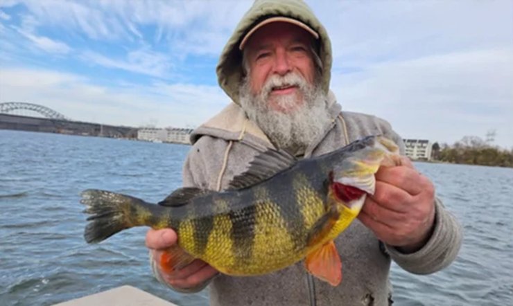 Желтый окунь, рыба, рекордный улов, рыбак поймал настоящего монстра, мужчина побил рекорд, огромная рыба, любительская рыбалка