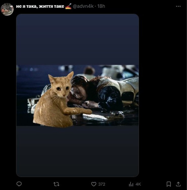 Рыжий кот, мем, фото