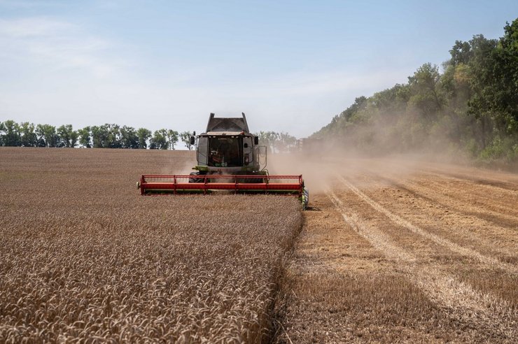 зерно, агропродукция, сельское хозяйство, экспорт