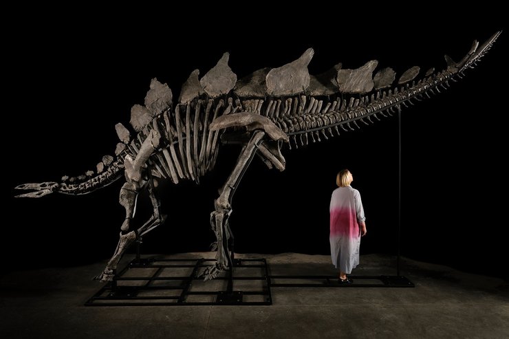 стегозавр сотбис