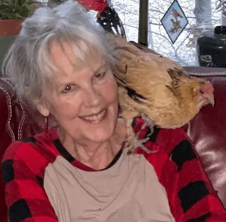 Самая старая курица в мире, курица, Арахис, орешек, мировой рекорд, 21 год курице, рекорд Гиннесса