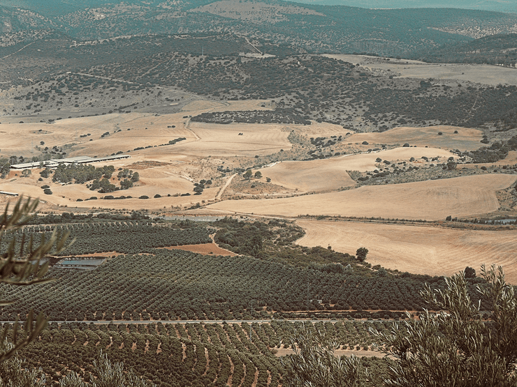 Село Арройо-дель-Оянко в Іспанії оточене мальовничою природою