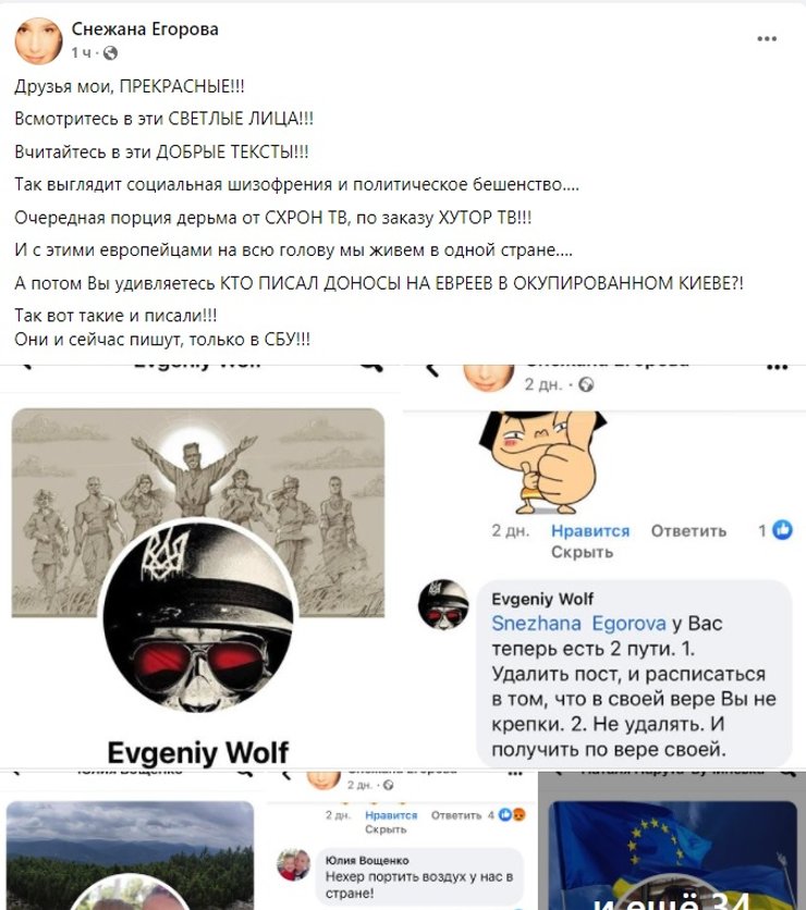 Снежана Егорова, поддержка Путина, поддержка России, поддержка политики РФ