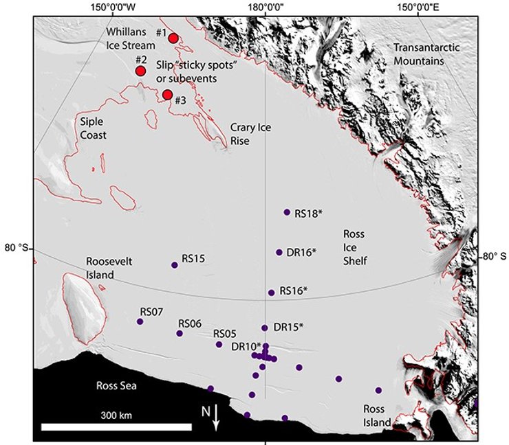 антарктида ледник росса