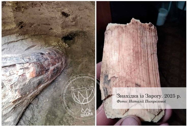 бивень Зарог