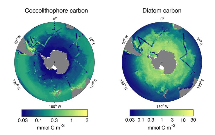 южный океан свечение