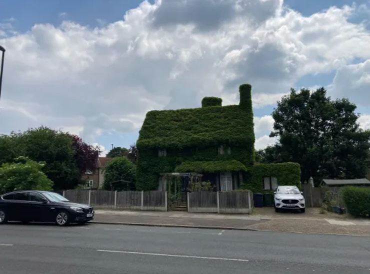 Дом полностью заплела лиана, владельцы дома не обрезали куст в течение 40 лет, скандал, фото, Великобритания