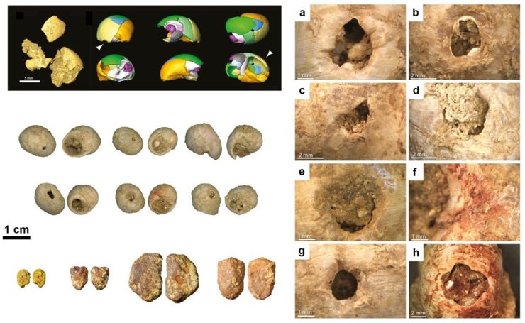ракушки, археология, ювелирная мастерская